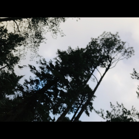 Meet your Posher, Yaneth - Picture 1 of 1